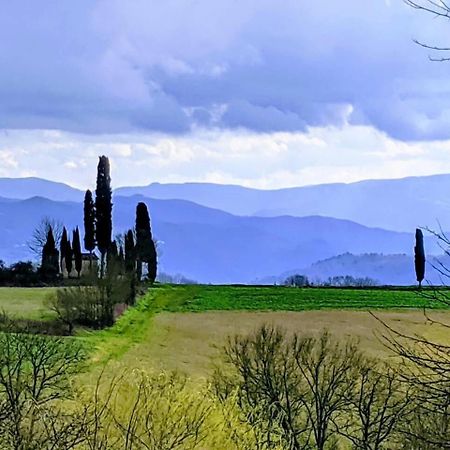Tuscan Hills Near Florence - Stone House Виккьо Экстерьер фото