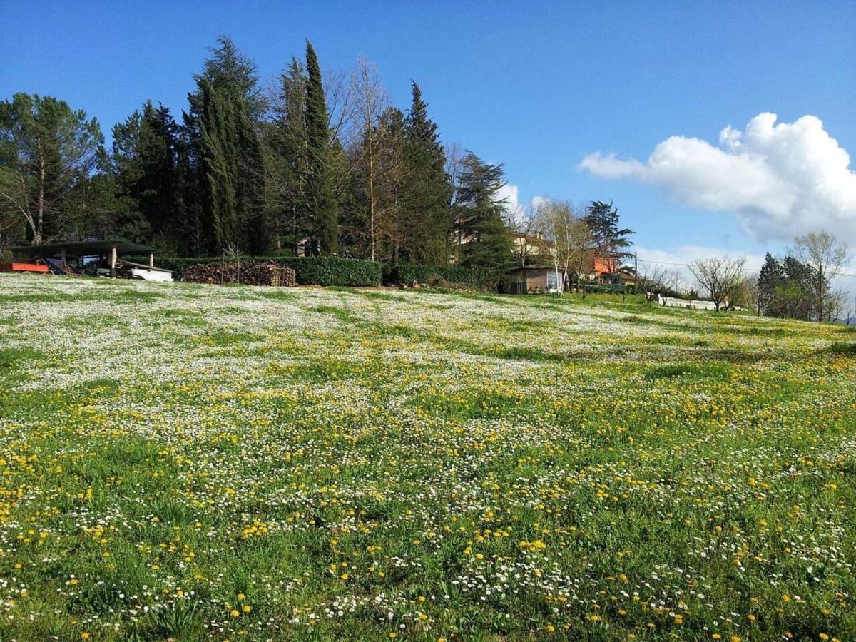 Tuscan Hills Near Florence - Stone House Виккьо Экстерьер фото