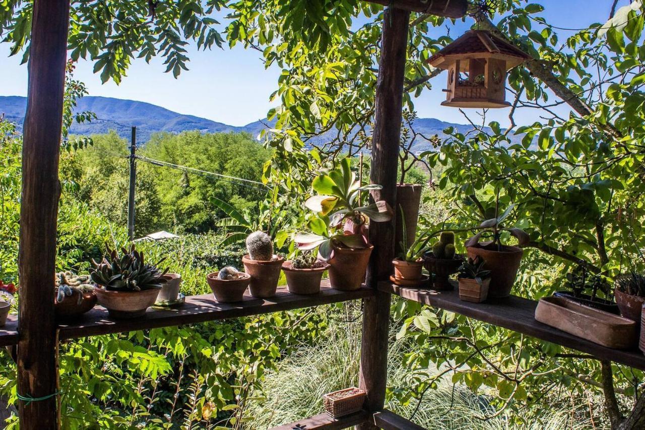 Tuscan Hills Near Florence - Stone House Виккьо Экстерьер фото